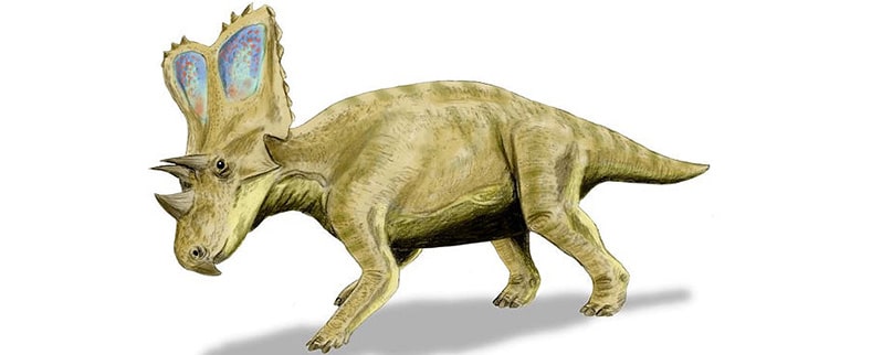 Chasmosaurus