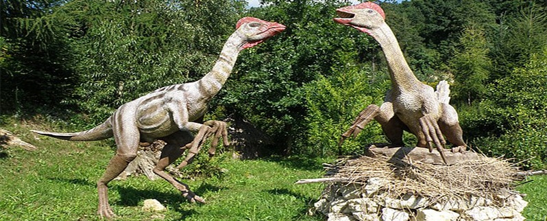 Chirostenotes