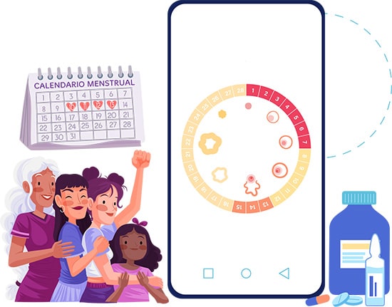 Ciclo menstrual para primaria