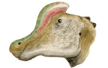 Corythosaurus
