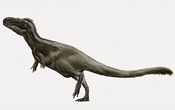 Daspletosaurus