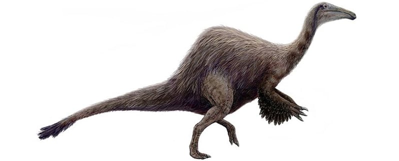 Deinocheirus