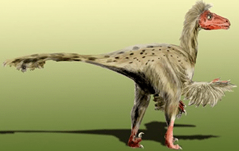Dromaeosaurus