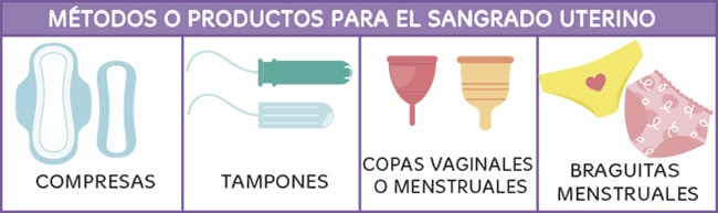 El ciclo menstrual para primaria