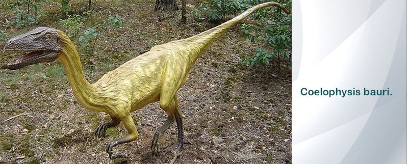 Familia Sarcosaurus