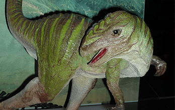 Hypsilophodon