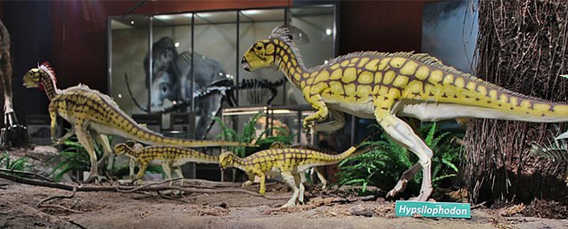 Hypsilophodon