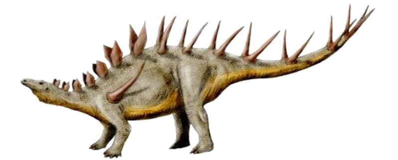Kentrosaurus