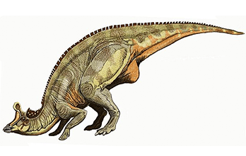▷ Lambeosaurus