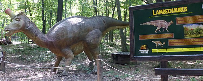 Lambeosaurus