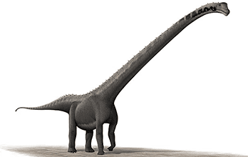 Mamenchisaurus