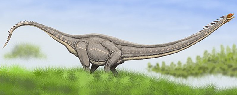 Mamenchisaurus