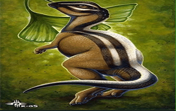 Micropachycephalosaurus