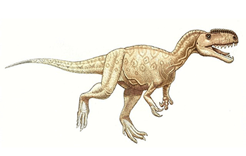 Monolophosaurus