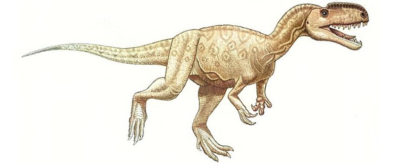 Monolophosaurus