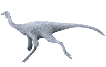Ornithomimus