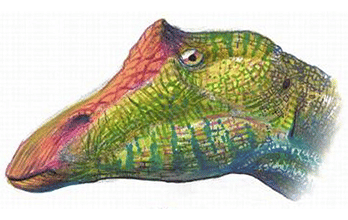 Ouranosaurus