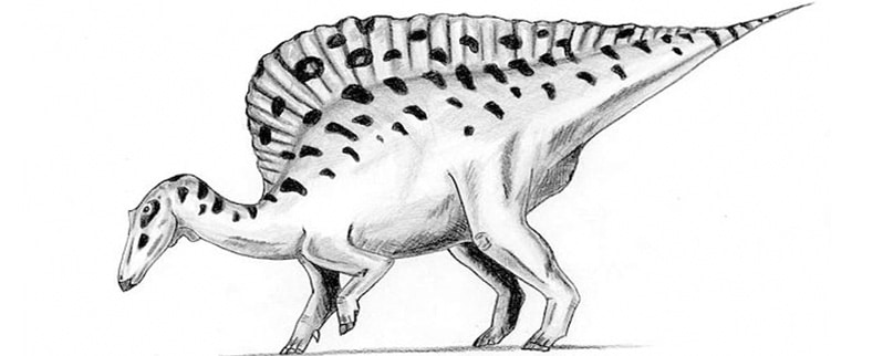 Ouranosaurus