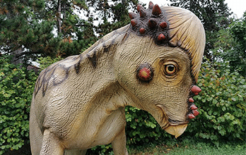 Pachycephalosaurus