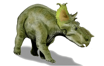 Pachyrhinosaurus