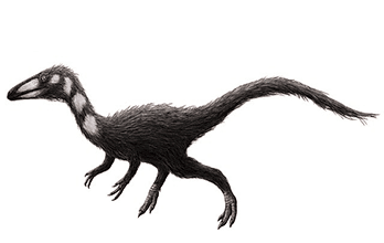 Procompsognathus