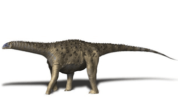 Saltasaurus