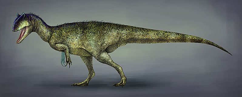 Saurophaganax