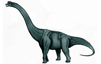 Sauroposeidon