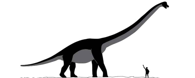 Sauroposeidon Tamaño