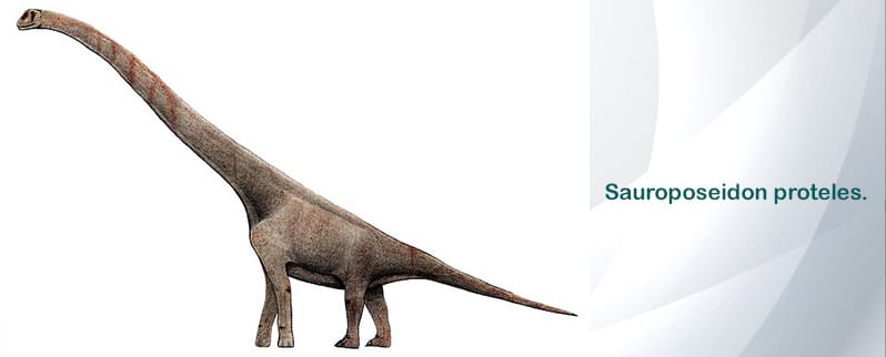 Sauroposeidon