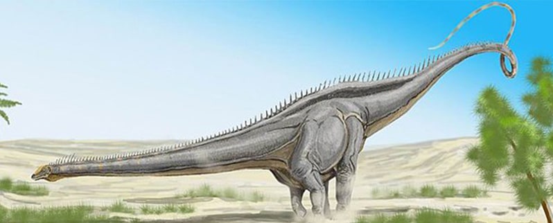 Seismosaurus