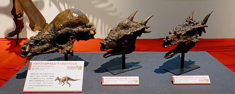 Stygimoloch