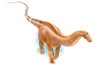 Supersaurus