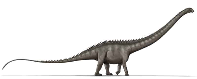 Supersaurus