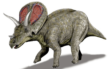 Torosaurus