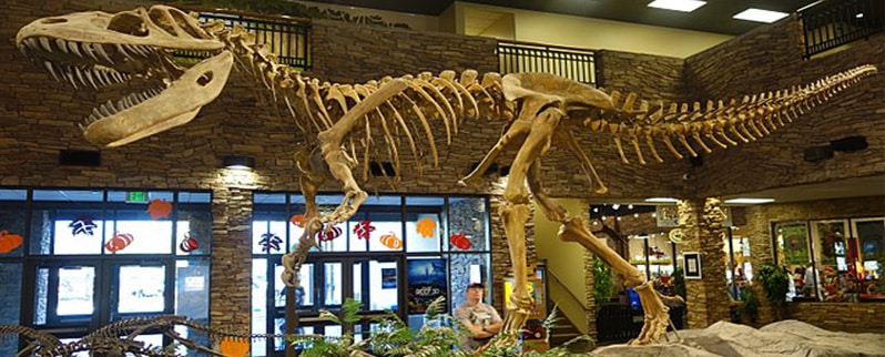 Torvosaurus Esqueleto