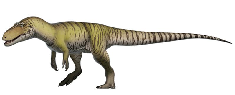 Torvosaurus