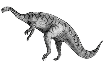 Yimenosaurus