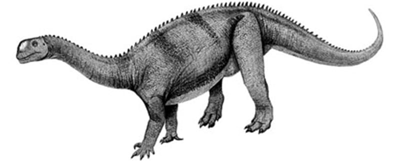 Yimenosaurus