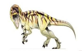 Diplotomodon