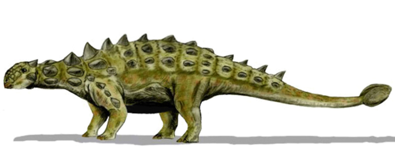 Euplocephalosaurus
