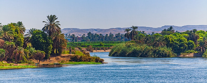 Ríos más largos del mundo: Nilo, flora y fauna