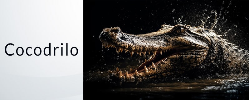 El animal más peligroso del mundo: Cocodrilos