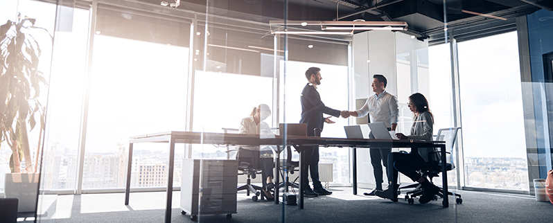 Servicios Profesionales Técnicos