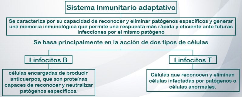 Sistema Inmunitario Adaptativo