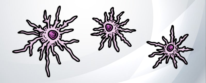Sistema Inmunitario Células Dendríticas