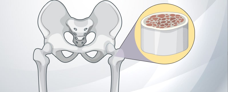 Sistema Inmunitario Medula Ósea