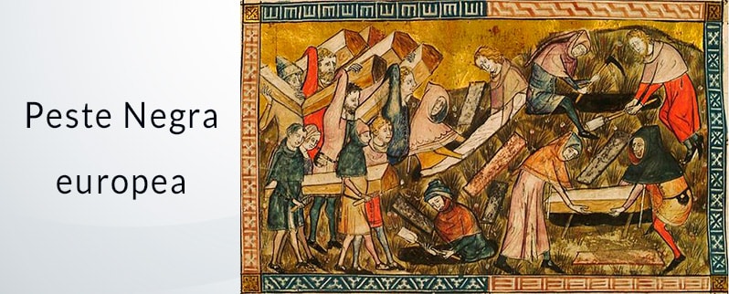 La Edad Media: Peste Negra europea