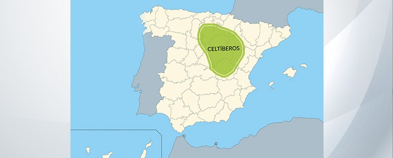 Los pueblos prerromanos: Celtiberos en la Península Ibérica
