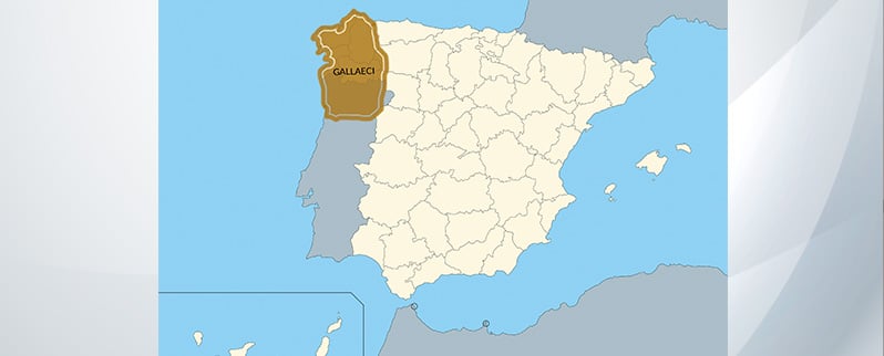 Los pueblos prerromanos: Gallaeci en la Península Ibérica